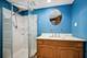 13866 Steeples, Lemont, IL 60439