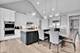 4276 Lacebark, Naperville, IL 60564