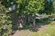 463 Woodview, Lake Barrington, IL 60010