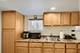 5323 N Natoma, Chicago, IL 60656