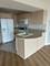 1720 Maple Unit 2170, Evanston, IL 60201