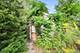213 Liberty, Fox River Grove, IL 60021