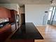 1720 S Michigan Unit 1106, Chicago, IL 60616