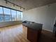 1720 S Michigan Unit 1106, Chicago, IL 60616