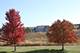 430 Alberosky, Batavia, IL 60510