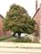 2842-46 S Quinn, Chicago, IL 60608
