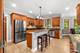 11N600 Hunter, Elgin, IL 60124