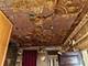 1310 S Millard, Chicago, IL 60623
