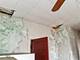 1310 S Millard, Chicago, IL 60623