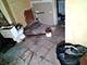 1310 S Millard, Chicago, IL 60623