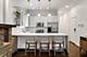 1131 W Addison Unit 2, Chicago, IL 60613
