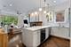 1131 W Addison Unit 2, Chicago, IL 60613
