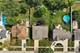 14147 Mallard, Orland Park, IL 60467