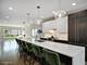 2544 W Warren, Chicago, IL 60612