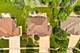 11818 Grove, Mokena, IL 60448