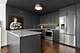 4800 S Chicago Beach Unit 1911S, Chicago, IL 60615