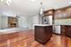 10313 S Cook, Oak Lawn, IL 60453