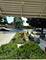8207 S Kostner, Chicago, IL 60652
