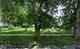 12333 S Emerald, Chicago, IL 60628