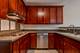 1226 Bradley, Elgin, IL 60120
