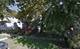 12351 S Wallace, Chicago, IL 60628