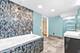 722 N Stephen, Palatine, IL 60067