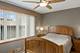 218 Mastodon, Ingleside, IL 60041