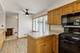 218 Mastodon, Ingleside, IL 60041