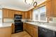 218 Mastodon, Ingleside, IL 60041