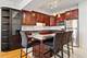4330 N Neva Unit 305, Norridge, IL 60706