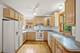 1236 S Brophy, Park Ridge, IL 60068