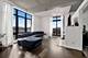 1524 S Sangamon Unit 309, Chicago, IL 60608