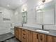 1701 W Webster Unit 602, Chicago, IL 60614