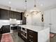 1701 W Webster Unit 602, Chicago, IL 60614
