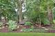 6719 Foxworth, Gurnee, IL 60031