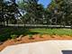 675 W Gilbert, Palatine, IL 60067