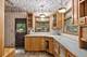 14925 S Bartlett, Plainfield, IL 60544