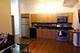 1620 S Michigan Unit 1007, Chicago, IL 60616