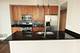 1620 S Michigan Unit 1105, Chicago, IL 60616