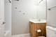 1919 S Michigan Unit 403, Chicago, IL 60616