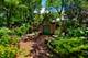 2233 N Burling, Chicago, IL 60614
