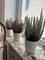 924 N Richmond, Chicago, IL 60622