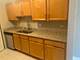 980 N Lakeside Unit 1B, Vernon Hills, IL 60061