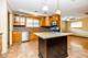11355 S Hamlin, Chicago, IL 60655