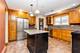 11355 S Hamlin, Chicago, IL 60655