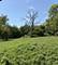 0N286 Pleasant Hill, Wheaton, IL 60187