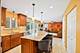 132 Treehouse, Matteson, IL 60443