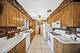 8231 W Berwyn, Chicago, IL 60656