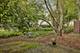 1144 Stillwater, Elgin, IL 60120
