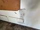 6613 157th, Oak Forest, IL 60452